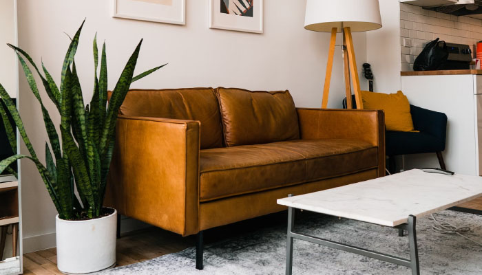 Jaga Kebersihan dan Ketertiban untuk ruang tamu minimalist